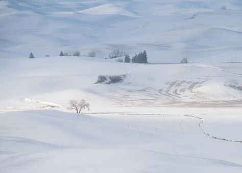 https://flic.kr/p/RzRHea | Snowy Palouse Snowy Plains, Winter Widgets, Tiny World, Painting Inspo, Bus Station, Weird And Wonderful, Wasp, Art References, The Other Side