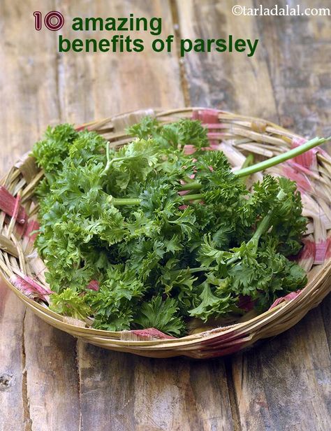 Curly Parsley Recipes, Recipes With Parsley, Benefits Of Parsley, Curly Parsley, Parsley Benefits, Herb Guide, Parsley Recipes, Good Sources Of Calcium, Gastric Juice