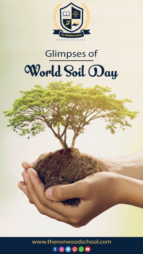 Celebrate the thing that holds the roots of our life, celebrate soil. Save and protect it on this World Soil Day. #WorldSoilDay #CelebrationDay #BestCBSESchool #Balachaur #BestSchoolInIndia #NovianFamily #TheNorwoodSchool #Punjab World Soil Day, India School, Celebration Day, Creative Ads, The Roots, The Thing, This World, Our Life, Soil