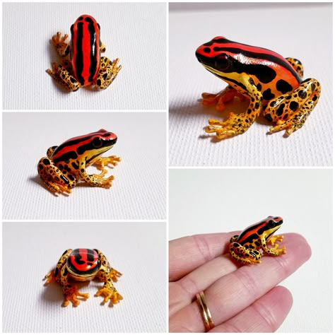 Hand sculpted from polymer clay and cosclay and hand painted with acrylic paint #clay #art #sculpture #amphibian #handmade #poisondartfrog #dartfrog #frog #polymerclay #acrylicpainting #replica #cosclay #cosclayusa #ranitomeya Cute Frog Sculpture, Polymer Clay Reptiles, Mini Clay Frog, Polymer Frog, Frog Clay, Pocket Frogs, Clay Frog, Paint Clay, Polymer Clay Gifts