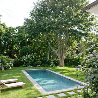 small (12 x 30) pool in Hamptons Small Yard Design, Hamptons Cottage, Pools For Small Yards, Backyard Layout, Small Swimming Pools, Small Pool Design, Modern Pools, Small Pools, Ideas Backyard