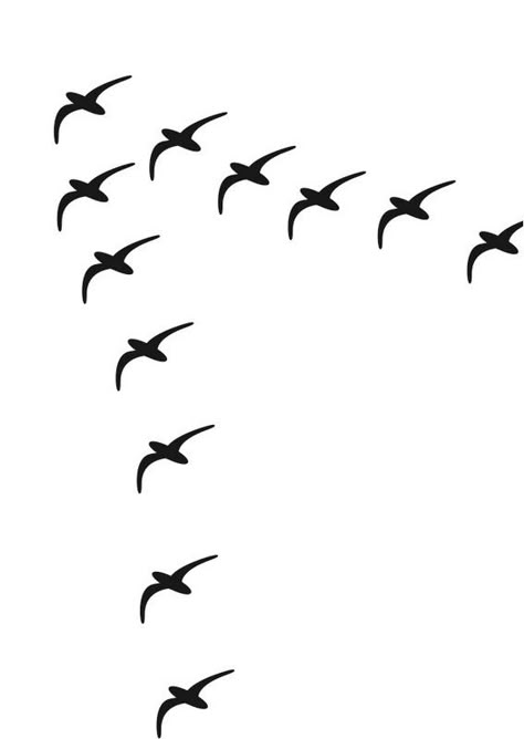 LAW OF COMMON FATE // Means that the objects are all training in the same direction. All the birds are flying in the same direction. We see this as one unit. Using our eye-movement. Good Continuation Gestalt, Common Fate Gestalt Design, Gestalt Principles Examples Similarity, Law Of Continuity Gestalt, Continuation Gestalt Design, Gestalt Principles Examples Proximity, Similarity Gestalt Design, Continuity Gestalt Design, Gestalt Continuity