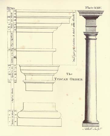 Any of several styles of classical or Neoclassical architecture that are defined by the particular type of column and entablature they use as a basic unit. A column consists of... Tuscan Order Column, Tuscan Column, Rome Architecture, Architectural Orders, Architectural Columns, Textured Wall Panels, Wood Columns, Temple Design For Home, Neoclassical Architecture