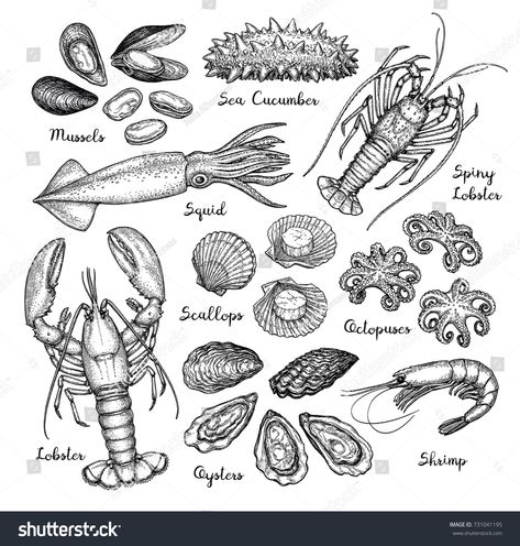 Seafood big set. Ink sketch isolated on white background. Hand drawn vector illustration. Retro style. #Ad , #ad, #sketch#isolated#white#Ink Ocean Animals Tattoo, Pelican Tattoo, Sea Creatures Drawing, Stick N Poke, Engraving Illustration, Free Hand Drawing, Hand Drawn Vector Illustrations, Vector Sketch, Hand Drawn Vector