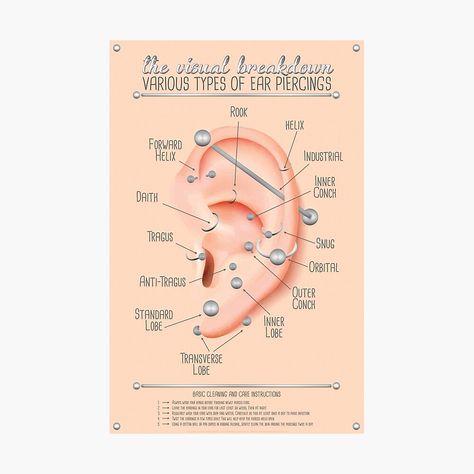 Ear Piercing Chart, Outer Conch, Ear Peircings, Ear Piercings Chart, Piercing Chart, Types Of Ear Piercings, Chart Infographic, Anti Tragus, Ear Piercing