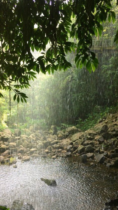 Summertime Madness, Rain And Thunderstorms, Rainy Day Aesthetic, I Love Rain, Love Rain, When It Rains, Rain Photography, Royal Enfield, Nature Aesthetic