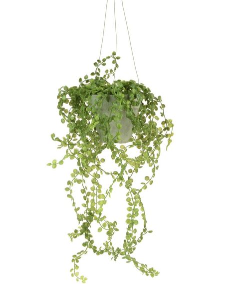 We have a thing about dangly hanging plants and beautiful draping foliage - so this fits right in with our real hanging garden in our kitchen - and Bathroom Plant, Living Room Plants, Hanging Plants Indoor, Faux Leaf, Indoor Plant Care, Pothos Plant, Bathroom Plants, Fern Plant, Bedroom Plants