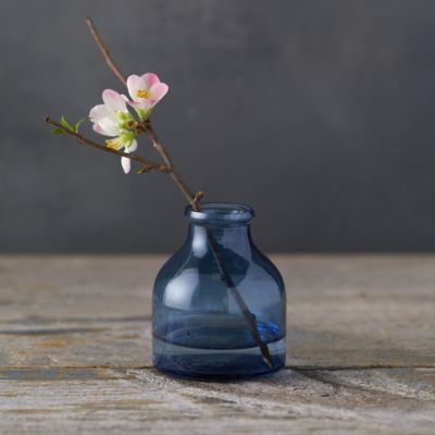 Tall Glass Vases, Still Life Pictures, Chinoiserie Vase, Small Glass Vases, Bulb Vase, Amaryllis Bulbs, Glass Bud Vase, Time After Time, Cylinder Vase