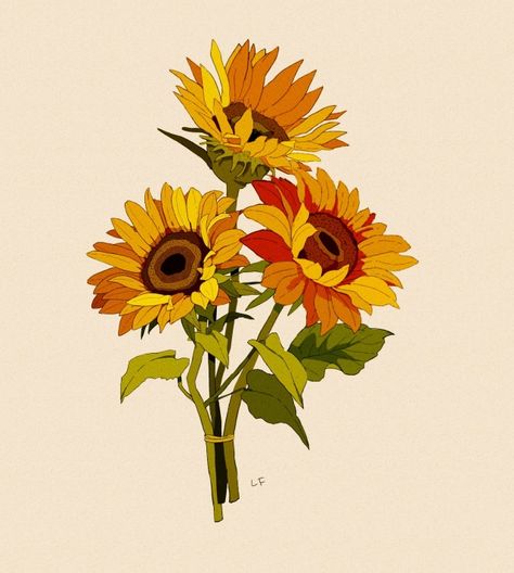 Sun Flower Reference, Sunflower Reference Drawing, Bouquet Of Sunflowers Drawing, Sunflower Botanical Illustration, Sunflower Drawing Wallpaper, Yellow Drawing Ideas, Sunflower Bouquet Drawing, Sunflower Gouache, Sunflower Drawing Aesthetic