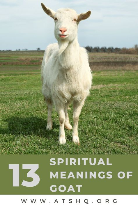 Goat Symbolism: 13 Spiritual Meanings of Goat Goat Spirit Animal, Goat Quotes Inspirational, Goat Symbolism, Goat Meaning, Goat Tattoos, Goat Quote, Goat Tattoo, Goat Horns, Goat Skull