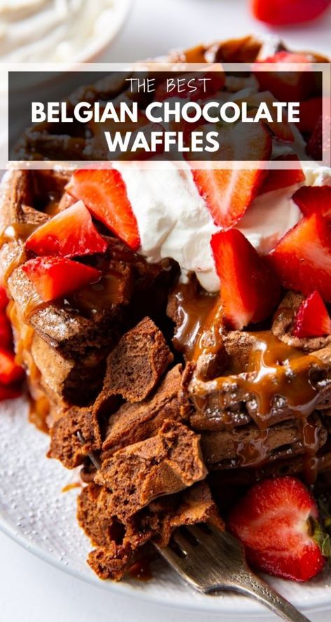 Chocolate Belgian Waffles, Belgian Waffle Dessert Ideas, Hot Chocolate Waffles, Chocolate Belgian Waffle Recipe, Chocolate Chip Belgian Waffles, Belgian Waffle Flavors, Sweet Belgian Waffle Recipe, Homemade Waffle Recipe Healthy, Flavored Belgian Waffle Recipe