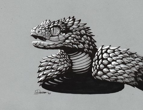 Spiny Bush Viper, Viper Drawing, Viper Tattoo, Bush Viper, Dragon Bird, Viper Snake, Snake Coloring Pages, Snake Dragon, Snake Drawing