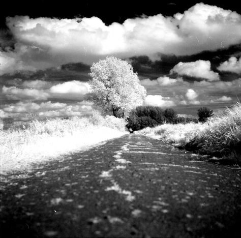 I would like to introduce you to a beautiful infrared film, which is not manufactured anymore. The Konica Infrared 750nm is a black and white infrared film, sensitized for a wavelength up to 820 nm to the infrared region. Photography Beginners, Infrared Photography, Photography For Beginners, A Black, How To Introduce Yourself, Black And White, Film, Photography, White