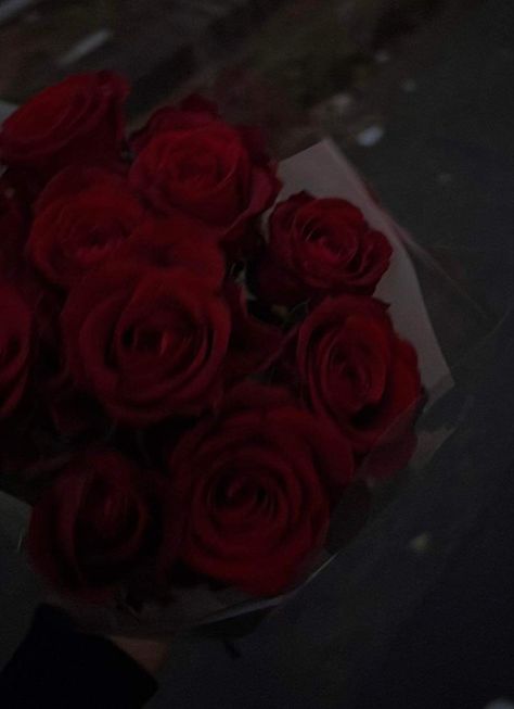 Flowers, roses, gift, red roses, red flowers, romantic Roses Aethestic, Red And Black Roses Aesthetic, Rose Flower Aesthetic Dark, Lilith Devotion, Red Rose Asthetics, Dark Red Roses Aesthetic, Red Rose Aesthetic, Deep Red Roses, Rosé Core