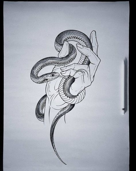 Holding Snake Drawing, Hand Holding Snake Drawing, Snake On Hand Drawing, Snake In Hand Drawing, Hand Holding Snake Tattoo, Snake Design Tattoo, Snake Hand Drawing, Snake Biting Hand Tattoo, Black And White Snake Tattoo