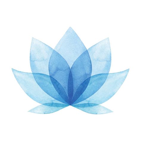 34,835 Egyptian Lotus Photos and Premium High Res Pictures - Getty Images Lotus Vector, Lotus Logo, Blue Lotus Flower, Mandala Background, Flower Stock, Image Film, Business Card Design Creative, Marvel Superhero Posters, Blue Lotus