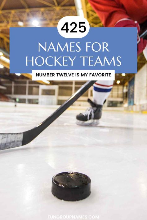 425 Great Names For Hockey Teams! Crossfit Team Names, Hockey Team Names, Dog Hero, Hockey Kids, Youth Hockey, Great Names, Hockey Team, Pop Culture References, Team Blue