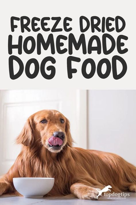 Freeze Dried Homemade Dog Food Dog Food Homemade, Liver Dog Treats, Freeze Dried Dog Treats, Dehydrated Dog Food, Dog Food Recipe, Freeze Dried Dog Food, Diy Dog Food, Grain Free Dog Food, Chicken For Dogs