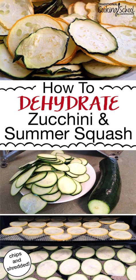 What do you do when zucchini and summer squash are exploding in your garden? Make chips, noodles or shreds! These recipes are the perfect, low carb healthy snacks and make for quick and easy meals. You can dehydrate them in your dehydrator or in your oven! #zucchini #squash #dehydrator #recipes #chips #noodles Dehydrated Squash Chips, Dehydrated Yellow Squash Chips, Dehydrating Summer Squash, What Can You Dehydrate, Dehydrating Squash, Zucchini Chips Dehydrator, Dehydrated Squash, Low Carb Healthy Snacks, Dehydrating Zucchini