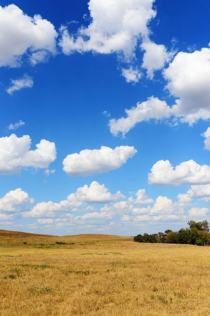 1:1 Photo, Afternoon Background, Air Pictures, Sky With Trees, Morning Background, Cloud Pictures, Blue Sky Wallpaper, Blue Sky Photography, Sky Images