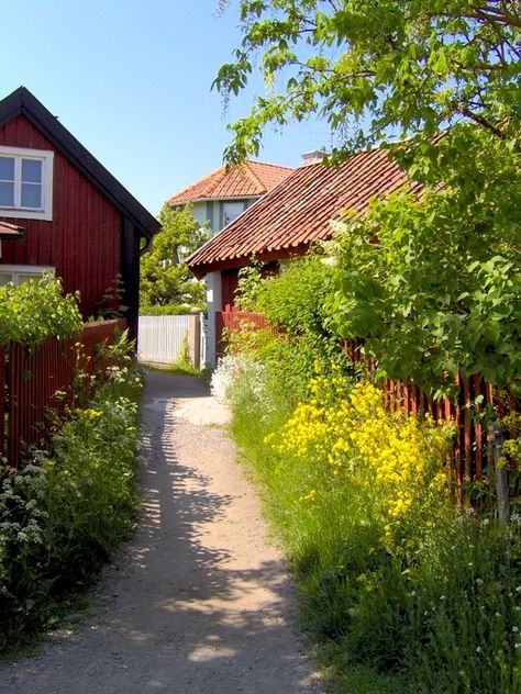 Month of sundaes Sweden Aesthetic, Stockholm Archipelago, Swedish Cottage, Red Houses, Drømme Liv, Summer Country, Country Summer, Red Cottage, Summer Dream