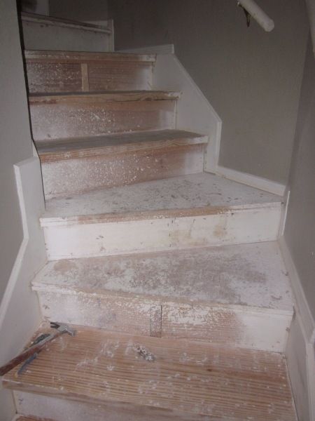 IMG_1404 Refinish Stairs, Stairs Diy, Redo Stairs, Diy Stairs Makeover, Stair Well, Removing Carpet, Diy Staircase, Stairs Makeover, Staircase Remodel