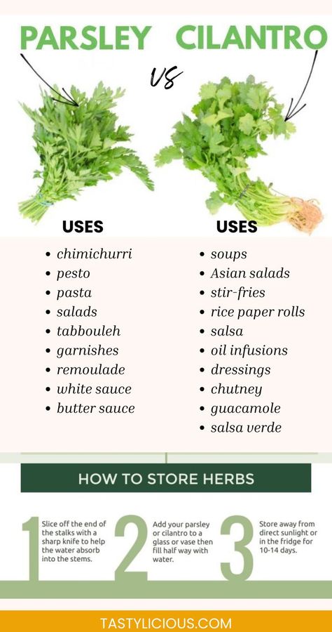 parsley and cilantro difference parsley cilantro what is the difference herbs and spices combinations aromatics combinations guide Parsley Spiritual Benefits, What To Do With Cilantro, Spices Combinations, Cilantro Benefits, Parsley Benefits, Cilantro Plant, Parsley Recipes, Spiritual Garden, Spice Combinations