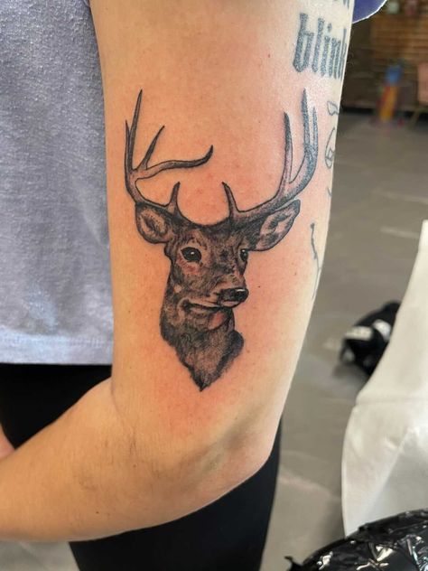 deer with antlers tattoo, wildlife tattoo Realistic Deer Tattoo, Antlers Tattoo, Antler Tattoo, Deer With Antlers, Wildlife Tattoo, Deer Tattoo, Deer Antlers, Fine Line, Antlers