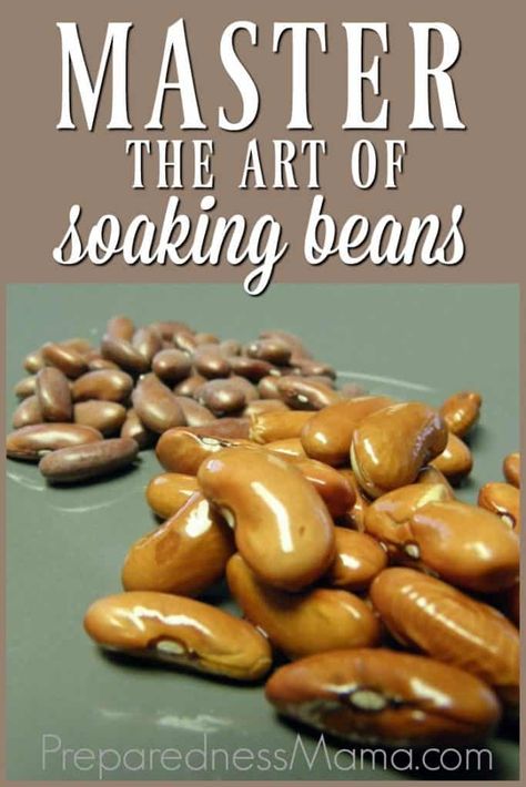 Soaking Beans, Legume Recipes, Cooking Beans, Vegan Info, Bean Dishes, How To Soak Beans, Scratch Cooking, Art Of Cooking, Bean Recipe