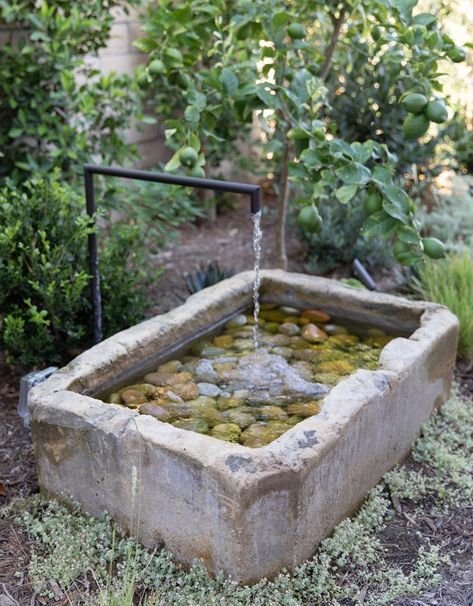 Trough Fountain, Limestone Trough, Garden Troughs, Garden Water Feature, Pond Water Features, Water Features In The Garden, Garden Fountain, Mediterranean Garden, Garden Studio