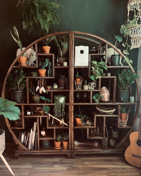 Plant shelf inspiration Cool Shelves, Home Improvement Loans, Bohemian Interior, Plant Shelves, Cool Plants, Plant Lover, Bohemian Decor, Plant Decor, Home Deco