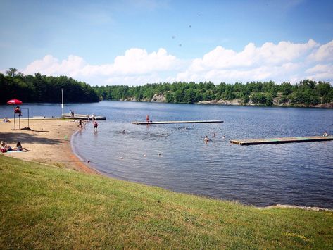 Gull Lake Rotary Park (Gravenhurst) - All You Need to Know BEFORE You Go - Updated 2021 (Gravenhurst, Ontario) - Tripadvisor Gull Lake, Lake Beach, Online Tickets, No 5, Ontario, Trip Advisor, You Must, Need To Know, Swimming