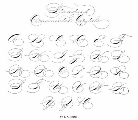 Ornamental Penmanship, Flourishing Calligraphy, Letter Handwriting, Swirl Tattoo, Art Letters, Calligraphy Tutorial, American Symbols, Embroidery Alphabet, Calligraphy Practice