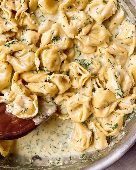 Meatless Pastas, Tortelloni Recipes, Dill Cream Sauce, Cheesy Tortellini, Lemon Dill Sauce, Tortellini Recipes, Lemon Dill, Dill Sauce, Pasta Dinners