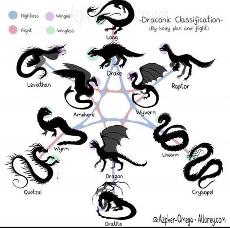 and i littereally live by this Dragon Anatomy, Types Of Dragons, Creaturi Mitice, Dragon Sketch, Výtvarné Reference, Mythical Animal, Animale Rare, Monster Concept Art, Creature Drawings