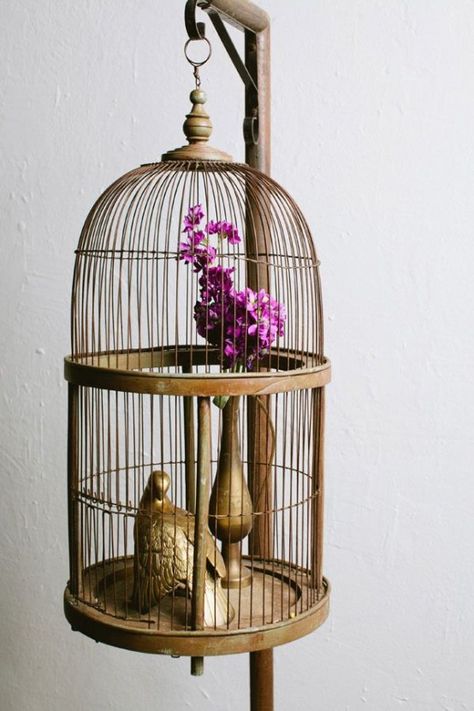 Using Bird Cages For Decor: 46 Beautiful Ideas | DigsDigs Diy Bird Cage, Small Bird Cage, The Caged Bird Sings, Bird Cage Decor, Vintage Bird Cage, Diy Birds, Bird Theme, Bird Cages, Vintage Birds