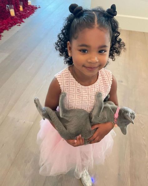 Khloé Kardashian's Daughter True And Grey Kitty Cuddling Together True Thompson, Jenner Kids, Kloe Kardashian, Kids Curly Hairstyles, Famous Kids, Khloé Kardashian, Kardashian Kids, Jenner Family, Toddler Hairstyles Girl