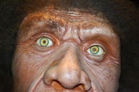 Prehistoric People, Facial Reconstruction, Early Humans, Strange History, Human Evolution, Archaeological Discoveries, Human Species, Ancient Mysteries, Cold Case