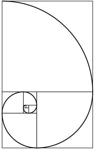 The Circle Forms the Basis of all Sacred Geometry. But, the term, sacred geometry implies that even if it is only circles we are looking at, there is more going on than just circles…  The vast majority of sacred art, sacred music, sacred architecture, sacred geometry and indeed all of life itself contains within it the mathematical ratio or progression known as Phi, the golden ratio. We perceive this as beauty and experience it as love. It is the spiral of the growth and unfolding of life. Circle Of Life Art, Secret Geometry, Golden Experience, Fibonacci Art, Sacred Music, Golden Section, Divine Proportion, Architectural Orders, Fibonacci Sequence