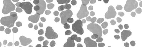 cat paw banner Youtube Background Ideas For Channel, Paw Background, Dog Poetry, Tumblr Banner, Y2k Background, Fb Cover Photos, Japanese Dogs, Cute Banners, Cat Paw Print