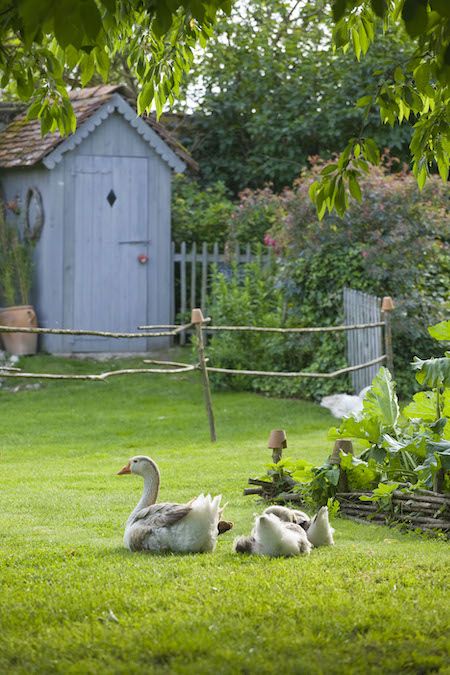 My French Country Home » Les Jardins de Roquelin Magic Garden, Farms Living, Loire Valley, French Country House, Country Farm, Garden Cottage, Country Gardening, Perfect World, The Grass