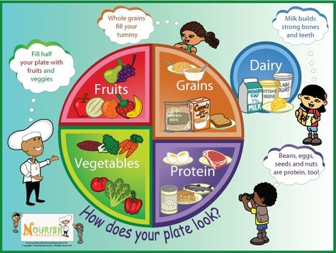 Food portions 5 Food Groups, Five Food Groups, Healthy Plate, Nutrition Month, Groups Poster, Health Class, Colorful Poster, Food Groups, Homeschooling Ideas