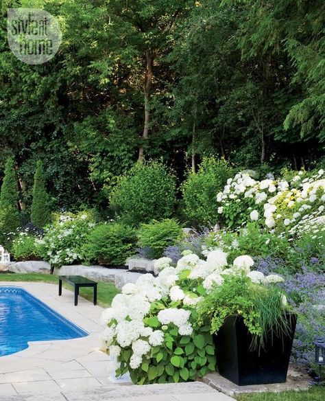 Gardens Backyard, Hampton Garden, Flowers And Greenery, Backyard Garden Design, White Gardens, Garden Pool, Plants And Flowers, Landscaping With Rocks, Gorgeous Gardens