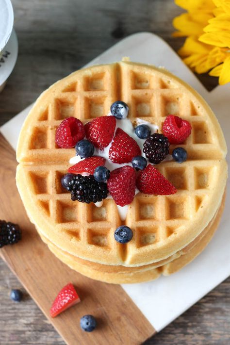 Yogurt Waffle Recipe, Recipes Greek Yogurt, Greek Yogurt Waffles, Yogurt Waffles, Dairy Free Greek Yogurt, Healthy Waffle, Dairy Free Waffles, Waffle Recipe Healthy, Breakfast Paleo