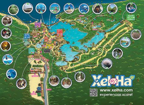 How to Have an Unparalleled Day at Xel-Ha, Mexico - Park Map Xel Ha Mexico, Xel Ha, Cancun Photos, Uganda Travel, Honduras Travel, Cancun Vacation, Mexico Beaches, Cancun Trip, Explore Mexico