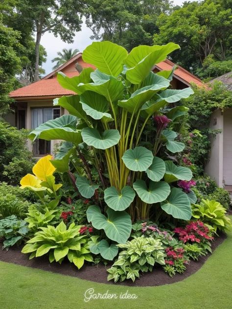 Florida Landscaping, Elephant Ear Plant, Watercolor Elephant, Elephant Ears, Backyard Landscaping, To Start, Sign Up, Elephant, Log In