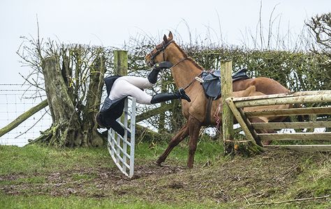 Would you know if someone was suffering from a concussion after a fall?  #equihealthcanada #horse #firstaid #horses #ehc Someone Falling, Horse Quotes Funny, Hunt Seat, Library Pictures, Equestrian Problems, Door Images, Listening Ears, Horse Posters, Horse Aesthetic