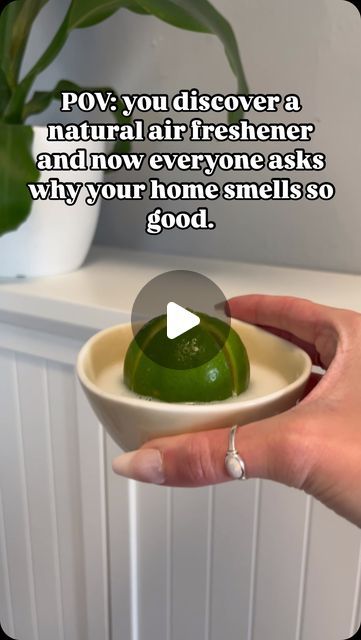 Back to the Roots on Instagram: "Talk about the ‘zest’ air freshener around… 🍋  Are we crazy, or is the combo of lime, salt, vinegar and fabric softener a genius way to boost the fragrance in your home? Leave your thoughts in the comments below, then share this life hack with a friend.   #limehack #naturalhometips #naturalairfreshener #airfreshenerhack #naturalhomeremedy #fabricsoftener #organichomes #organicgardeners #organicgrowing #naturallifehack" Fabric Softener Air Freshener, Diy Air Freshener Spray, Smelling Good, Diy Air Freshener, Natural Air Freshener, Lime Salt, Organizing Hacks, Household Cleaning Tips, Life Hack