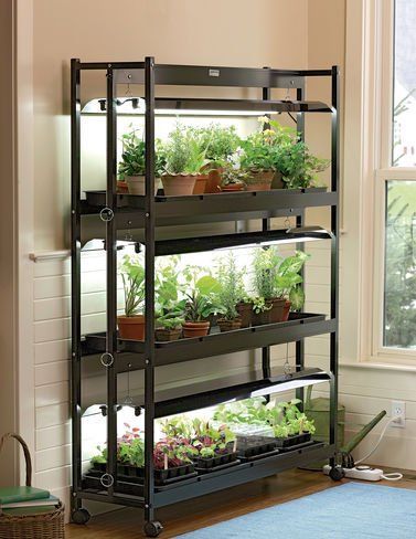 Inexpensive way to create mini green houses to start your own seedlings! Plant and grow your own vegetables by starting them from seed, easy and frugal! Grow Light Stand, Indoor Grow Lights, Indoor Vegetables, Tanaman Indoor, Indoor Greenhouse, Garden Shelves, Tiered Garden, Plant Tray, Indoor Vegetable Gardening