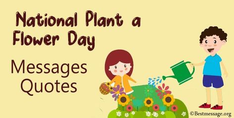 Happy Plant a Flower Day Messages and quotes. Wonderful flowers quotes for her, cute love flower quotes, flower sayings to share. Flower Sayings, Quotes Flower, Flowers Quotes, Messages Quotes, Message Quotes, Wonderful Flowers, Wishes Messages, Day Quotes, Flower Quotes